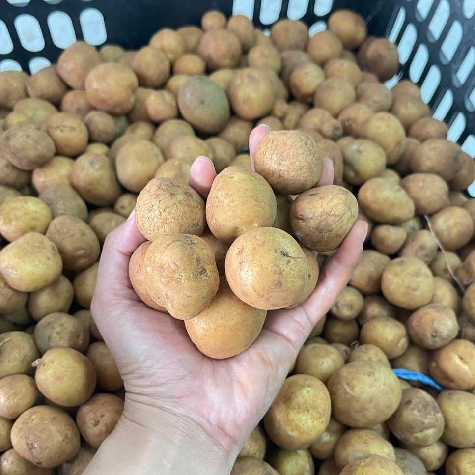 Baby potatoes