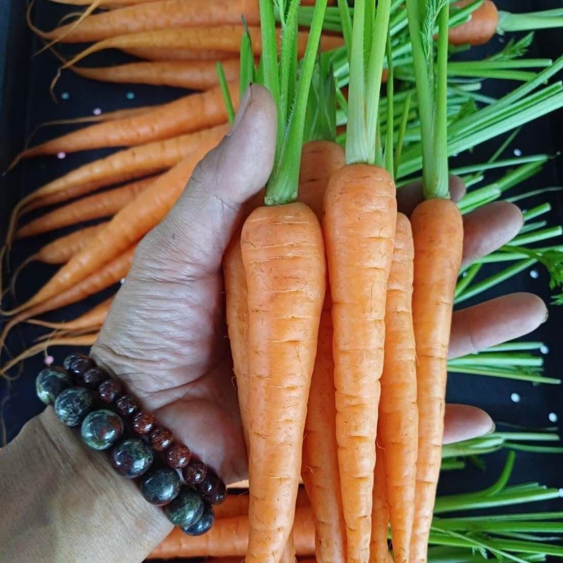 Sweet baby carrots