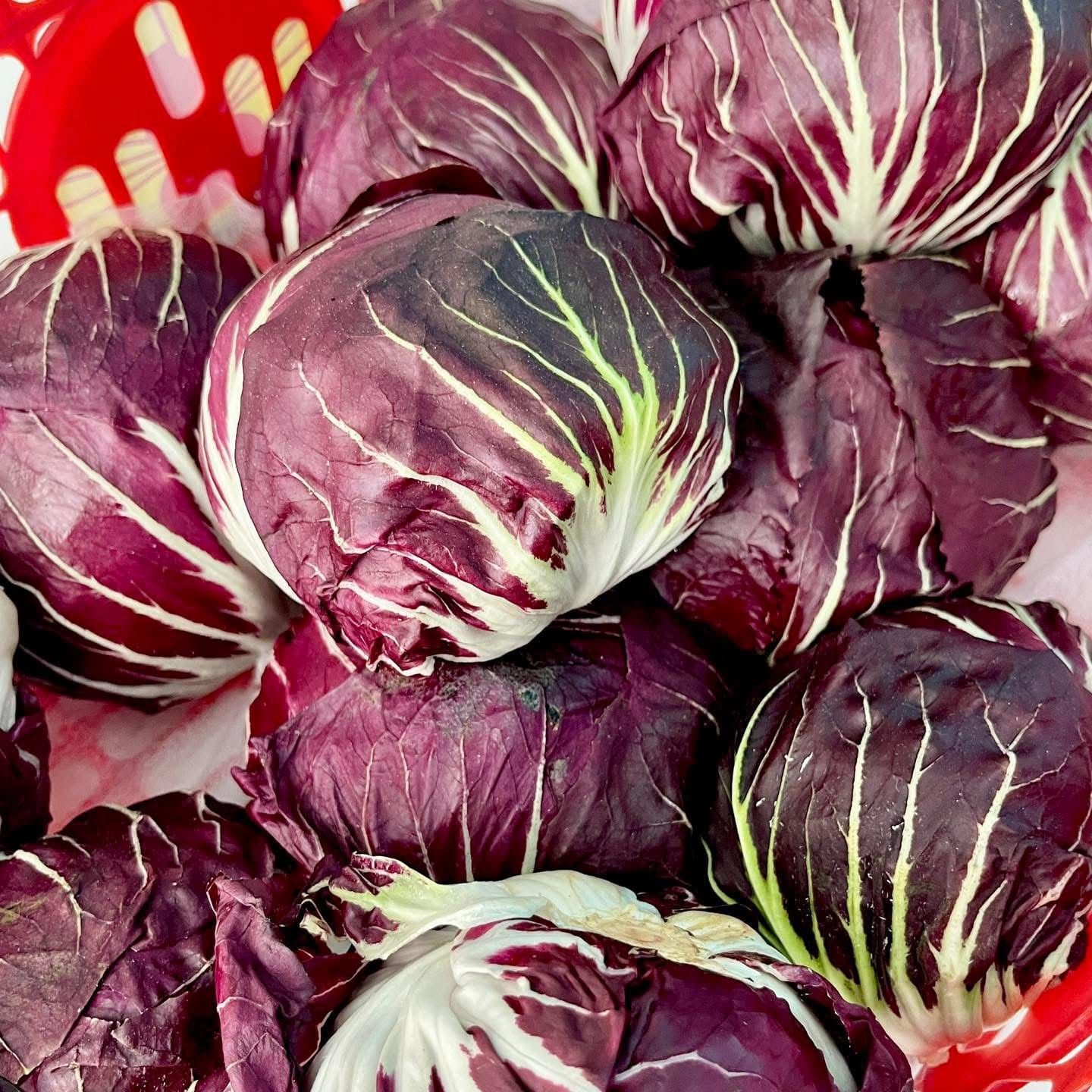 Purple cabbage