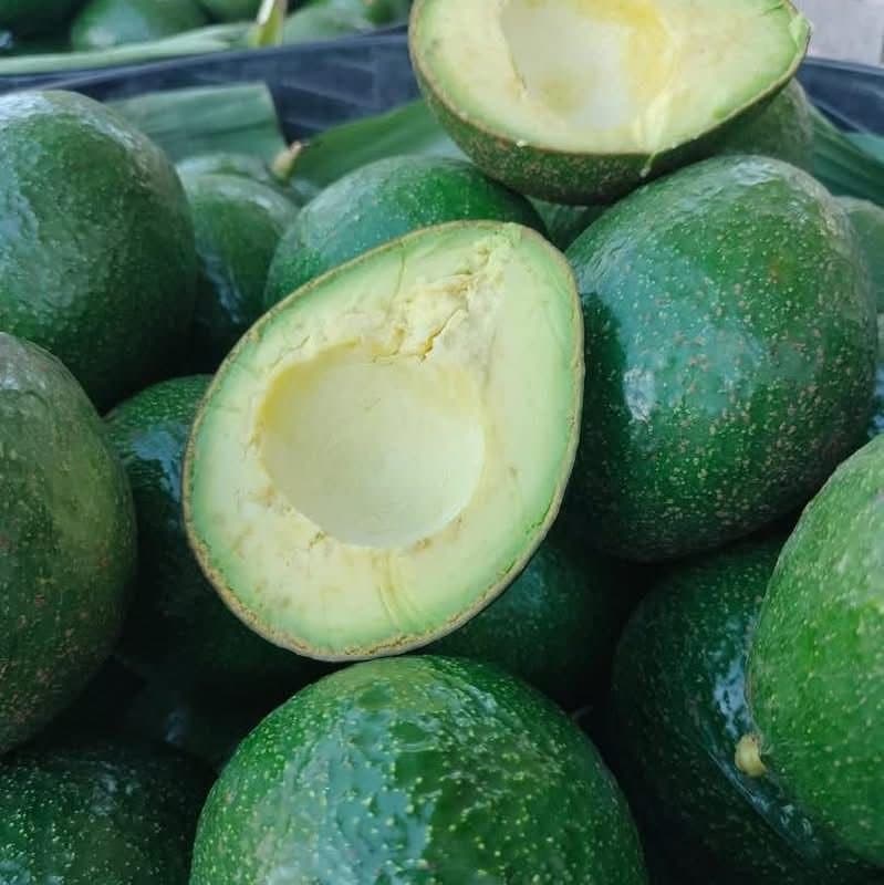 Fresh green zucchini